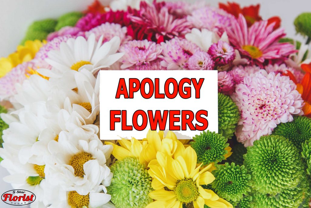 apology flowers Cincinnati