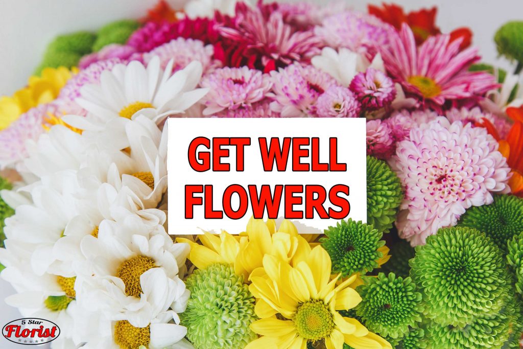 get well flowers Cincinnati